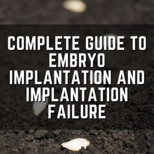 embryo implantation and implantation failure