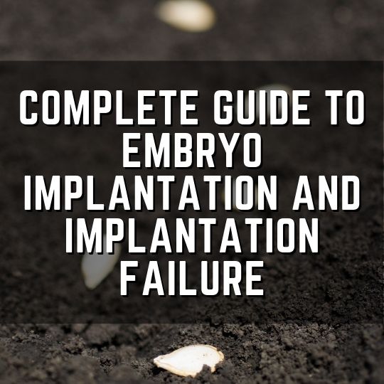 embryo implantation and implantation failure