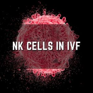 NK natural killer cells in IVF