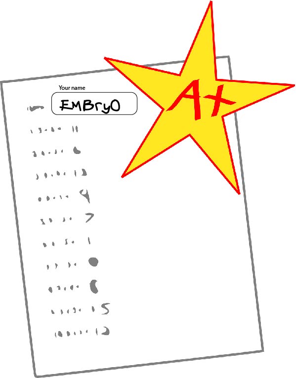 paper graded embryo