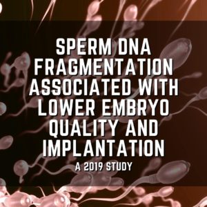 Sperm DNA fragmentation associated with lower embryo quality and implantation