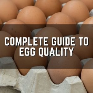 complete guide to egg quality