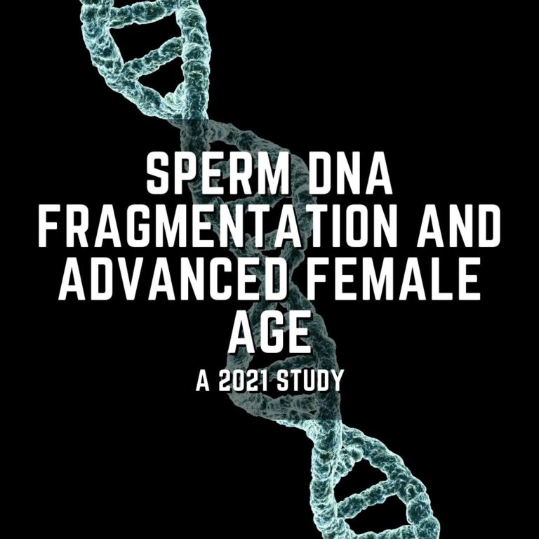 Sperm DNA fragmentation and advanced female age