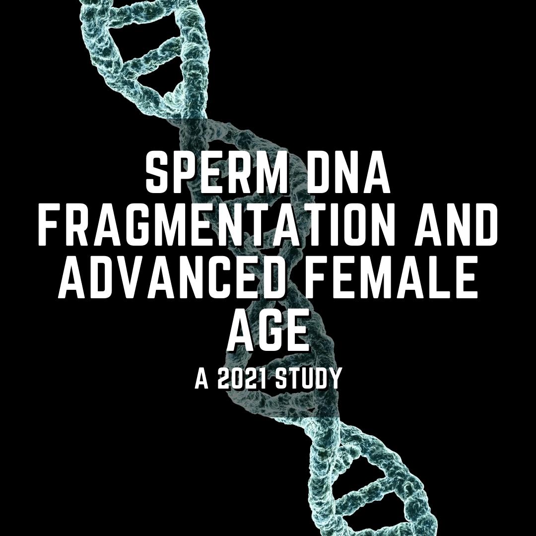 Sperm DNA fragmentation and advanced female age