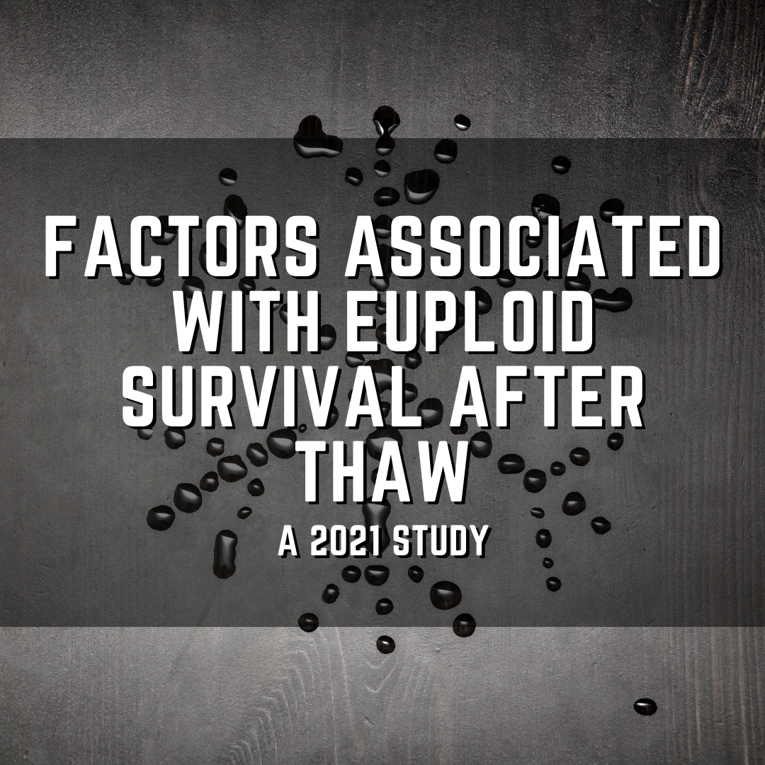 Factors associated with euploid survival after thaw