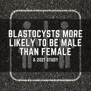 Blastocysts more likely to be male than female