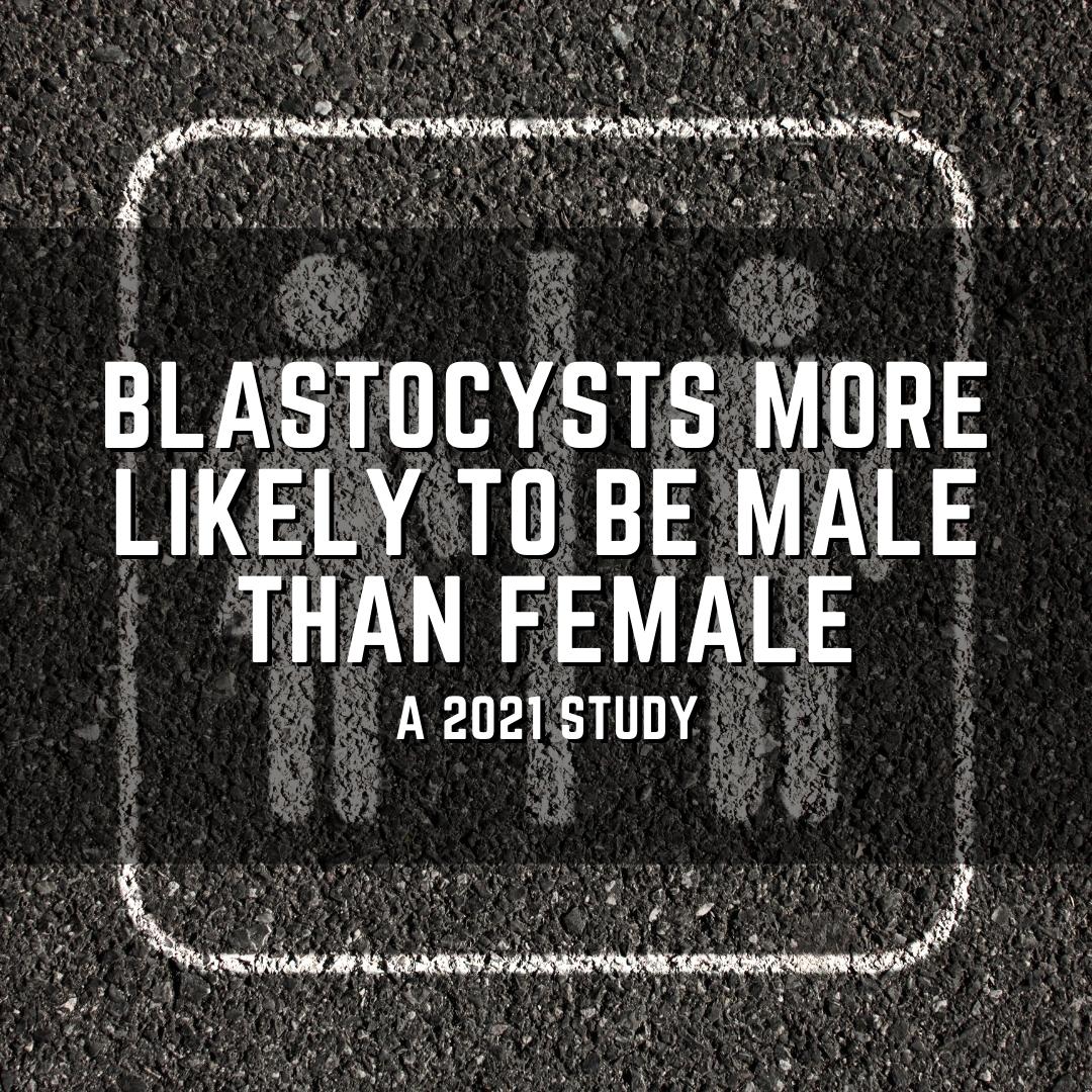 Blastocysts more likely to be male than female