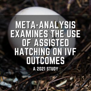 Meta-analysis examines the use of assisted hatching on IVF outcomes