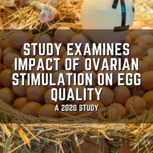 Study examines impact of ovarian stimulation on egg quality