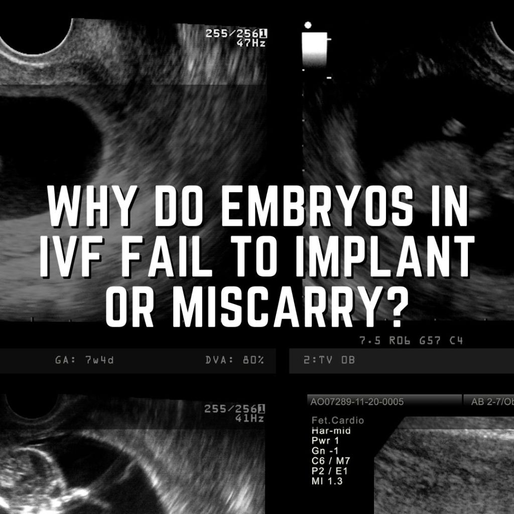 why do embryos fail to implant or miscarry?