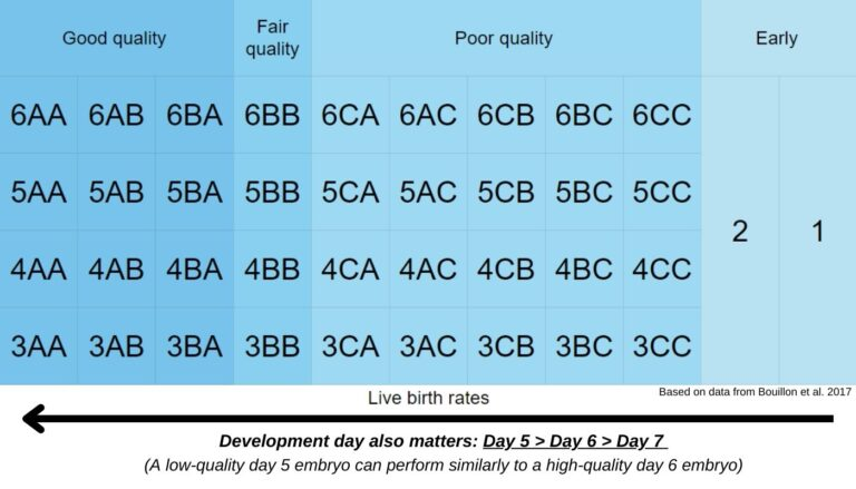 embryo grading chart that includes good quality, fair quality, poor quality and early blastocysts and the chances of live birth