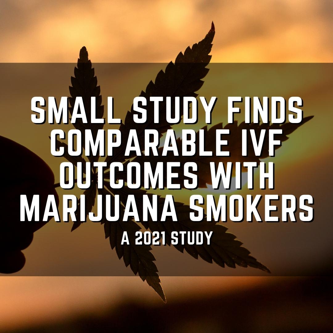 Small study finds comparable IVF outcomes with marijuana smokers