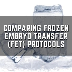 comparing frozen embryo transfer FET protocols