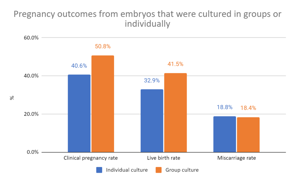 Pregnancy outcomes from embryos that were cultured in groups or individually