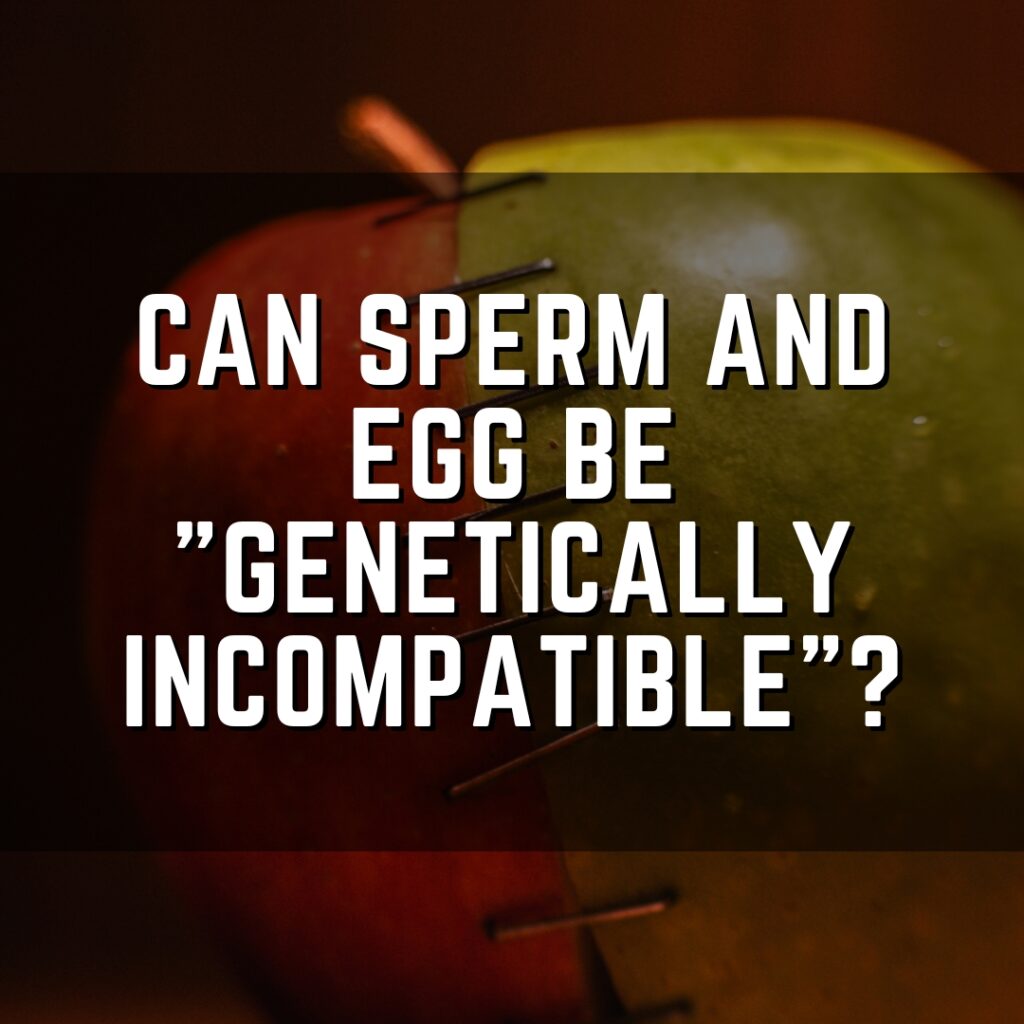 Can sperm and egg be "genetically incompatible"?