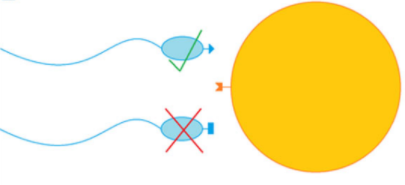 sperm genetic compatibility with egg ivf