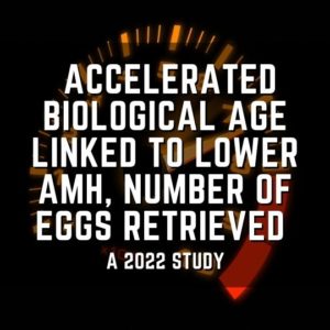 Accelerated biological age linked to lower AMH, number of eggs retrieved