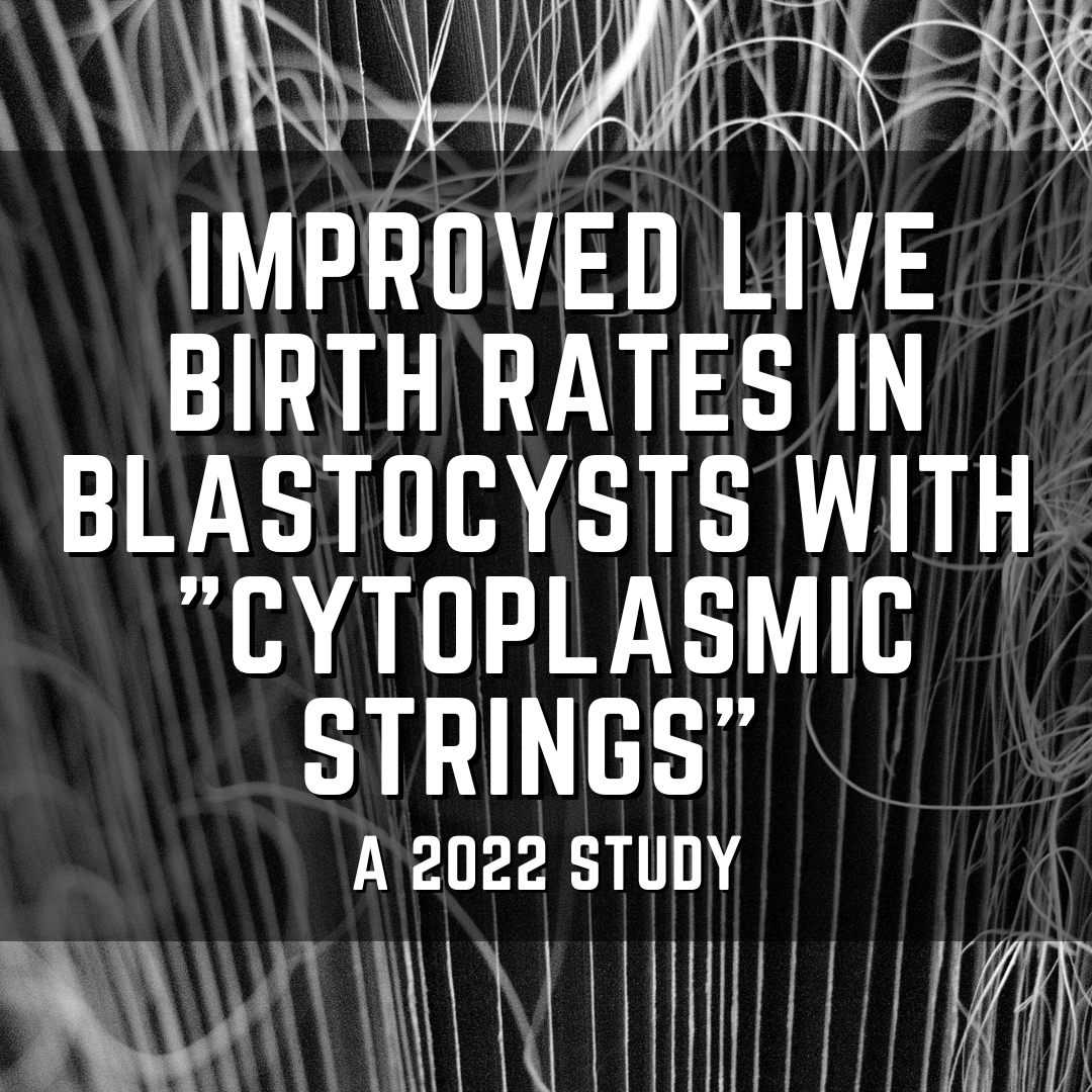 Improved live birth rates in blastocysts with "cytoplasmic strings"