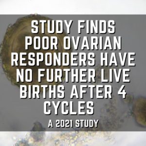 Study finds poor ovarian responders have no further live births after 4 cycles