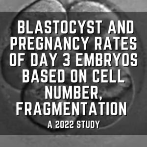 Blastocyst and pregnancy rates of day 3 embryos based on cell number, fragmentation