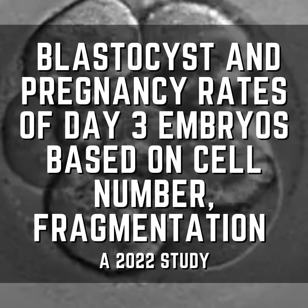 Blastocyst and pregnancy rates of day 3 embryos based on cell number, fragmentation