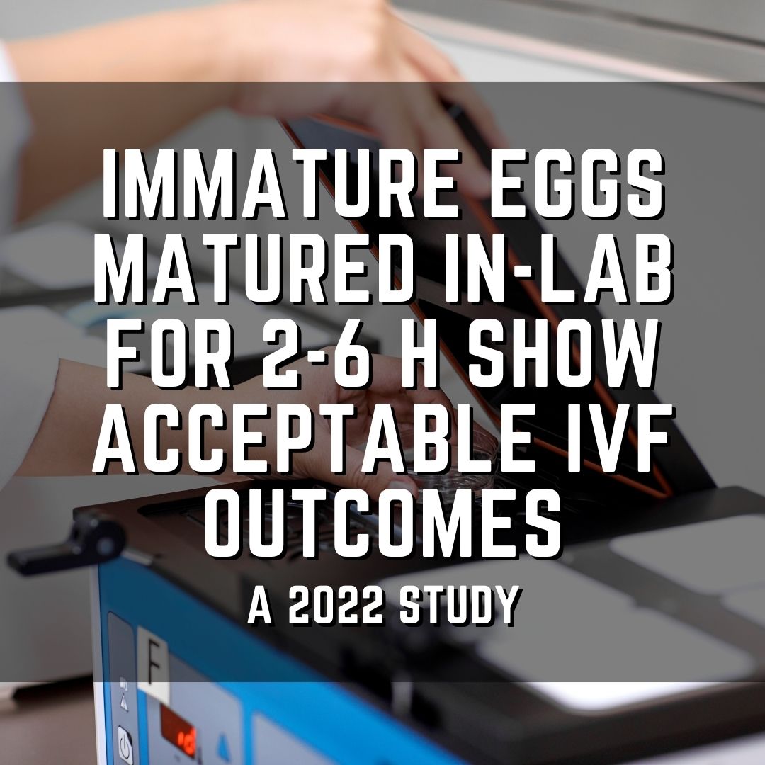 Immature eggs matured in-lab for 2-6 h show acceptable IVF outcomes