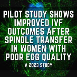 Pilot study shows improved IVF outcomes after spindle transfer in women with poor egg quality
