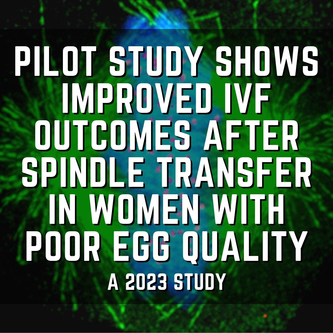 Pilot study shows improved IVF outcomes after spindle transfer in women with poor egg quality