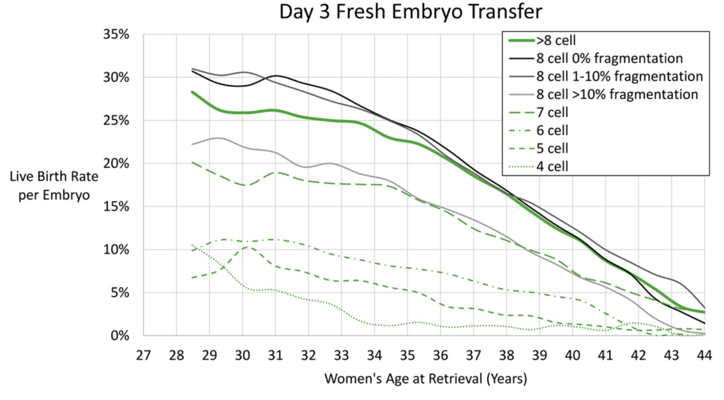 day 3 embryo grades and success rates (live birth rates) based on age, cell number and fragmentation