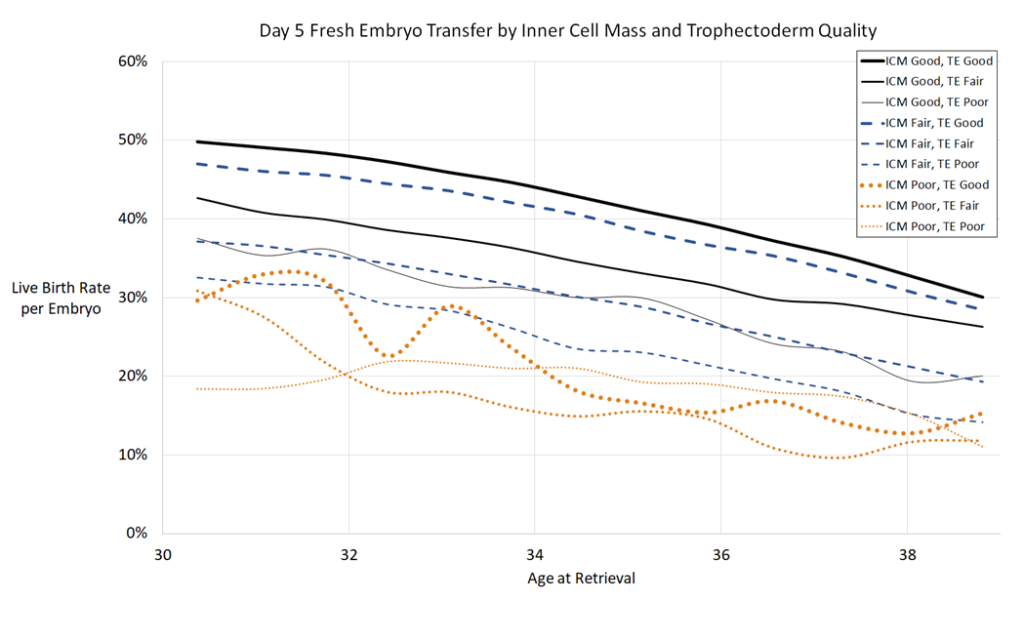 how age and embryo grades impact success rates in IVF