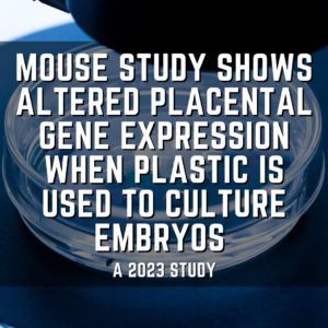 Mouse study shows altered placental gene expression when plastic is used to culture embryos