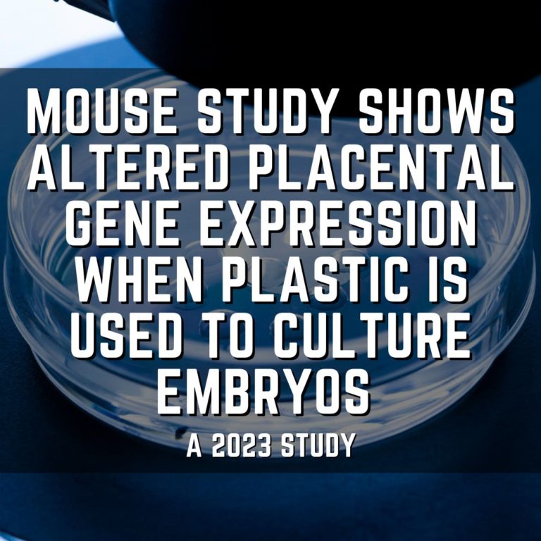 Mouse study shows altered placental gene expression when plastic is used to culture embryos