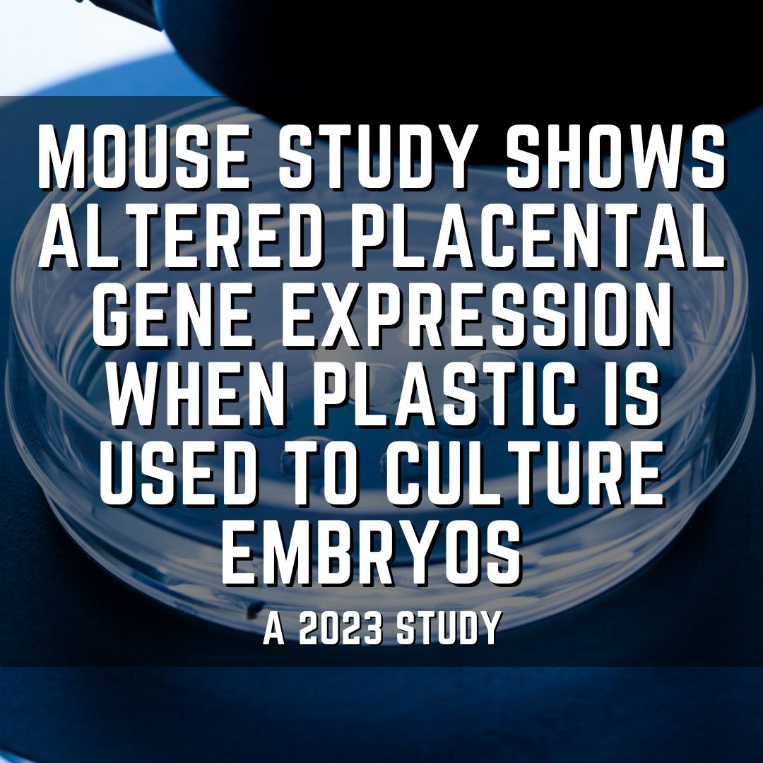 Mouse study shows altered placental gene expression when plastic is used to culture embryos