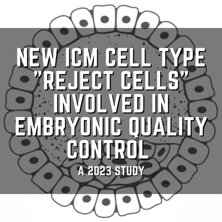 New ICM cell type "REject cells" involved in embryonic quality control
