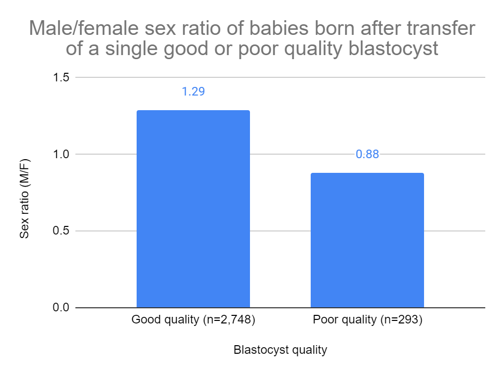 Male/female sex ratio of babies born after transfer of a single good or poor quality blastocyst