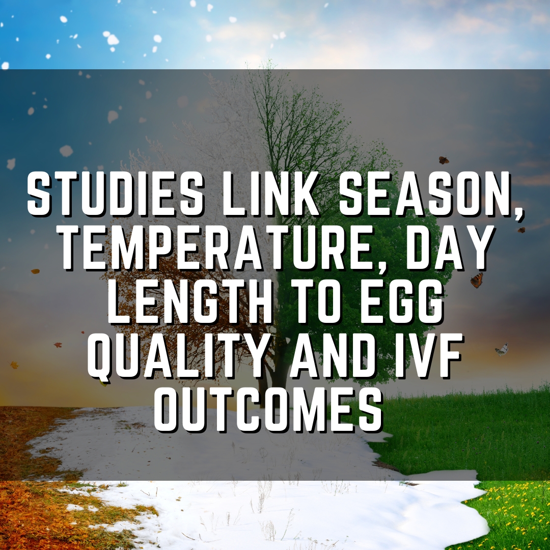 Studies link season, temperature, day length to egg quality and IVF outcomes