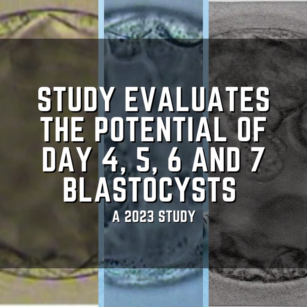 Study evaluates the potential of day 4, 5, 6 and 7 blastocysts