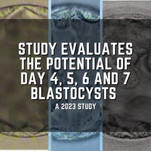Study evaluates the potential of day 4, 5, 6 and 7 blastocysts
