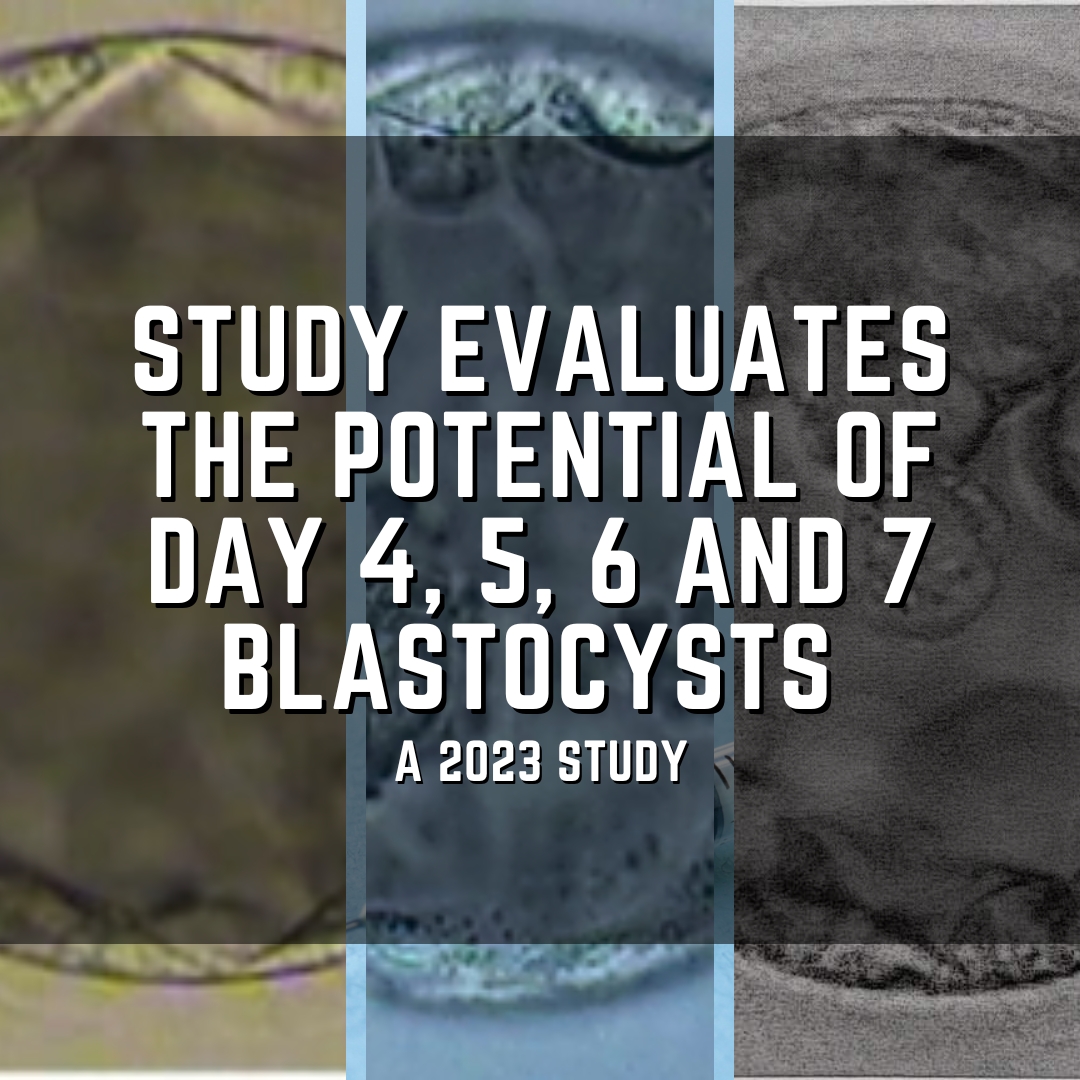 Study evaluates the potential of day 4, 5, 6 and 7 blastocysts