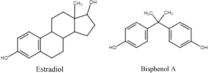 estradiol and bpa