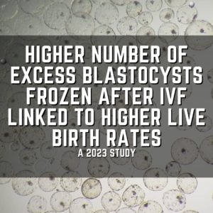Higher number of excess blastocysts frozen after IVF linked to higher live birth rates