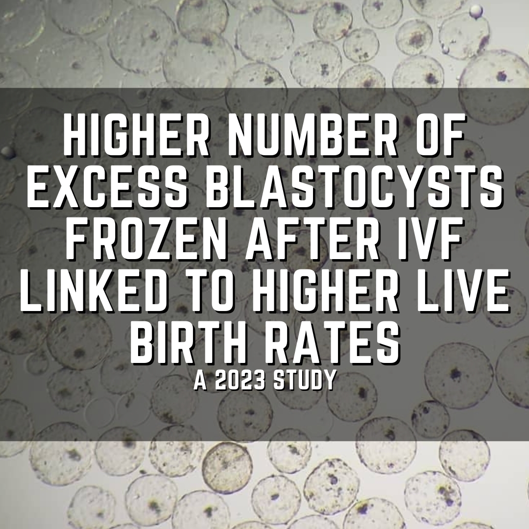 Higher number of excess blastocysts frozen after IVF linked to higher live birth rates