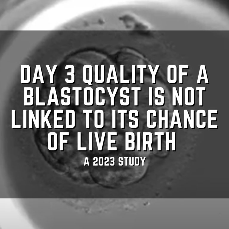Day 3 quality of a blastocyst is not linked to its chance of live birth