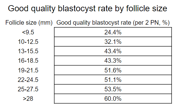 good quality blastocyst rate by follicle size