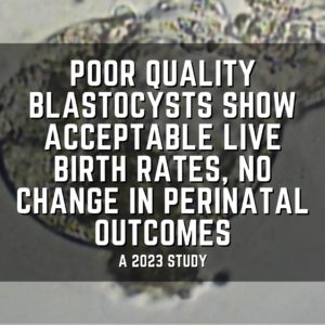 Poor quality blastocysts show acceptable live birth rates, no change in perinatal outcomes