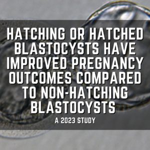 Hatching or hatched blastocysts have improved pregnancy outcomes compared to non-hatching blastocysts