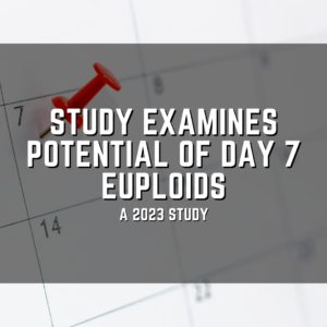 Study examines potential of day 7 euploids