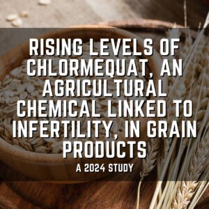 Rising levels of chlormequat, an agricultural chemical linked to infertility, in grain products