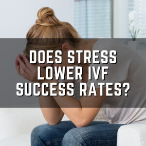 Does stress lower IVF success rates?