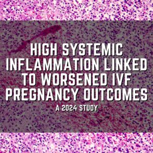 High systemic inflammation linked to worsened IVF pregnancy outcomes
